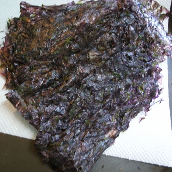 ao-00R0098584.jpg