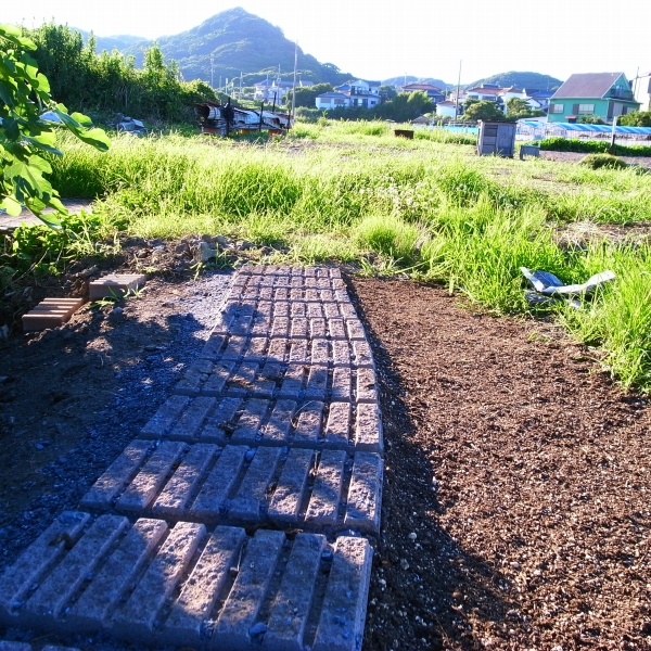 bh-R0035679.jpg