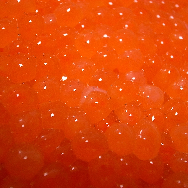 dv-R0011167.jpg