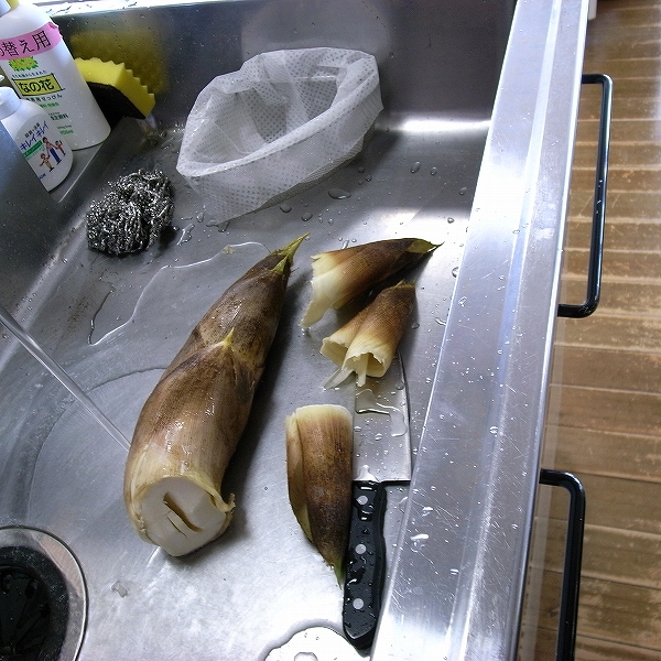 dw-R0012049.jpg