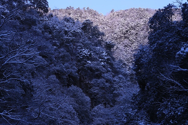 IMG_3447雪景色