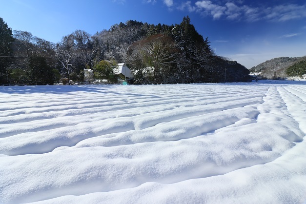 IMG_7263雪景色