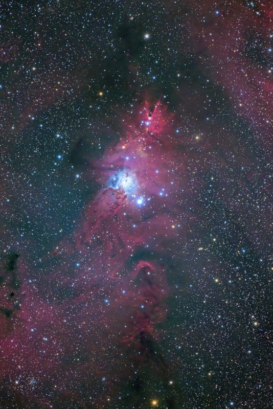 2022012_NGC2264_FRA600_R.jpg