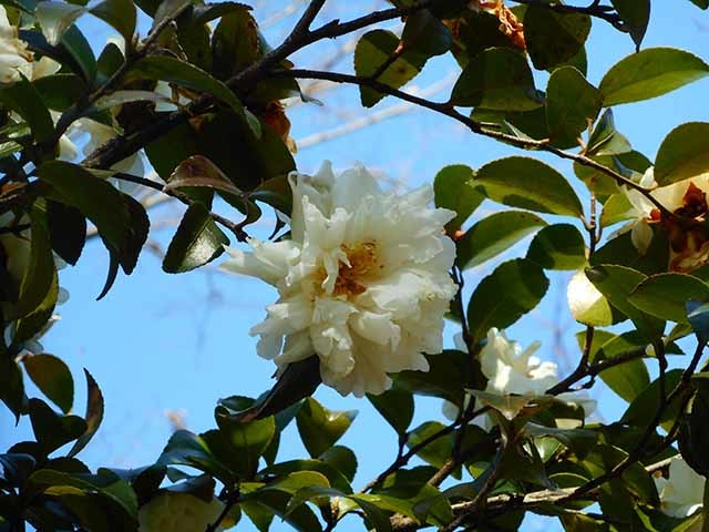 DSCN0005.jpg