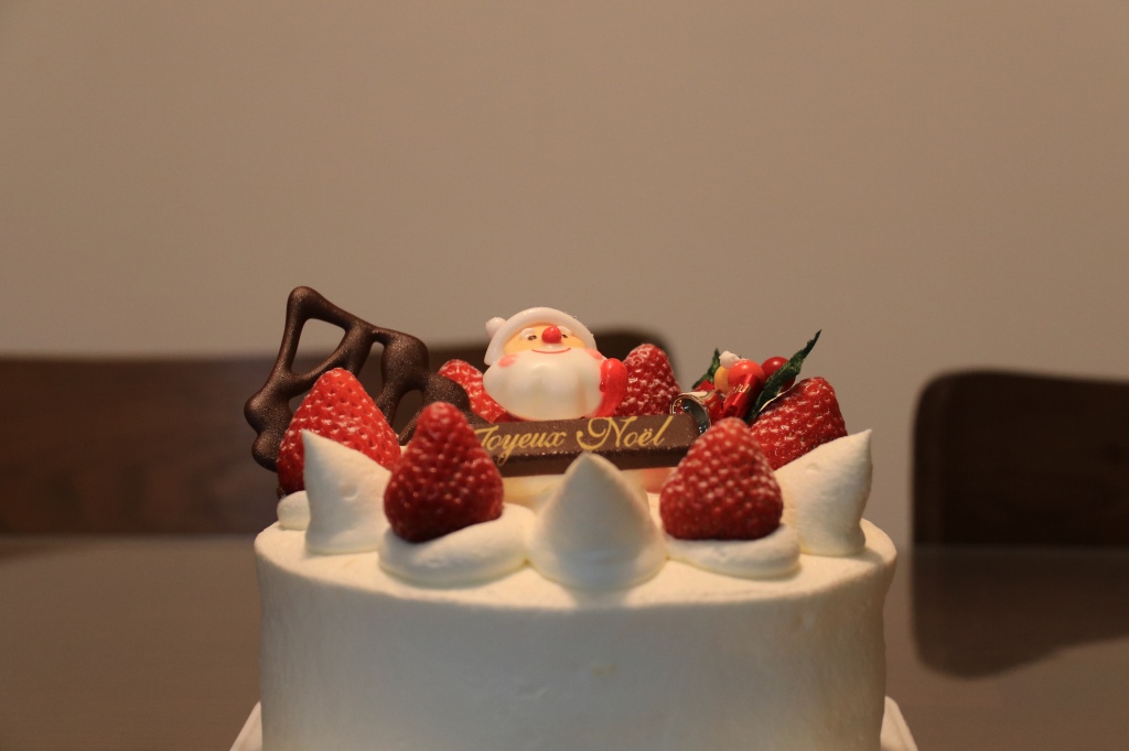 221225クリスマス (2)