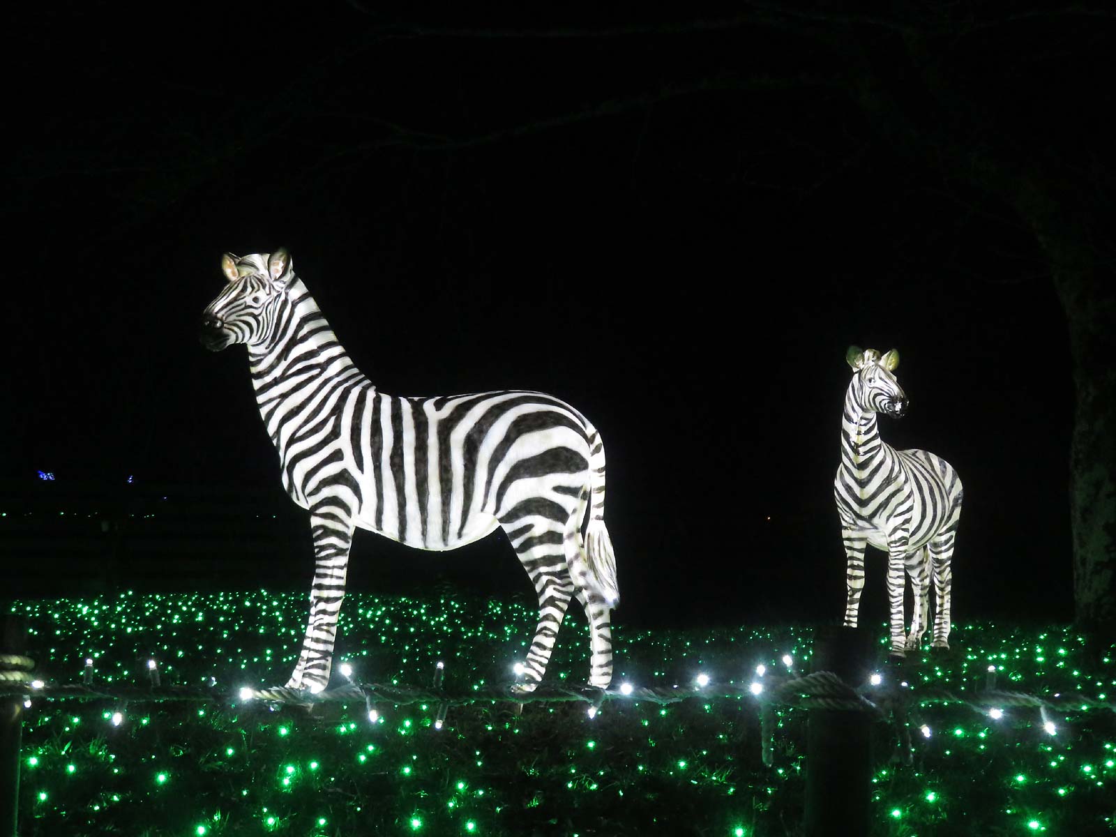 相模湖イルミリオンの「光の動物園」