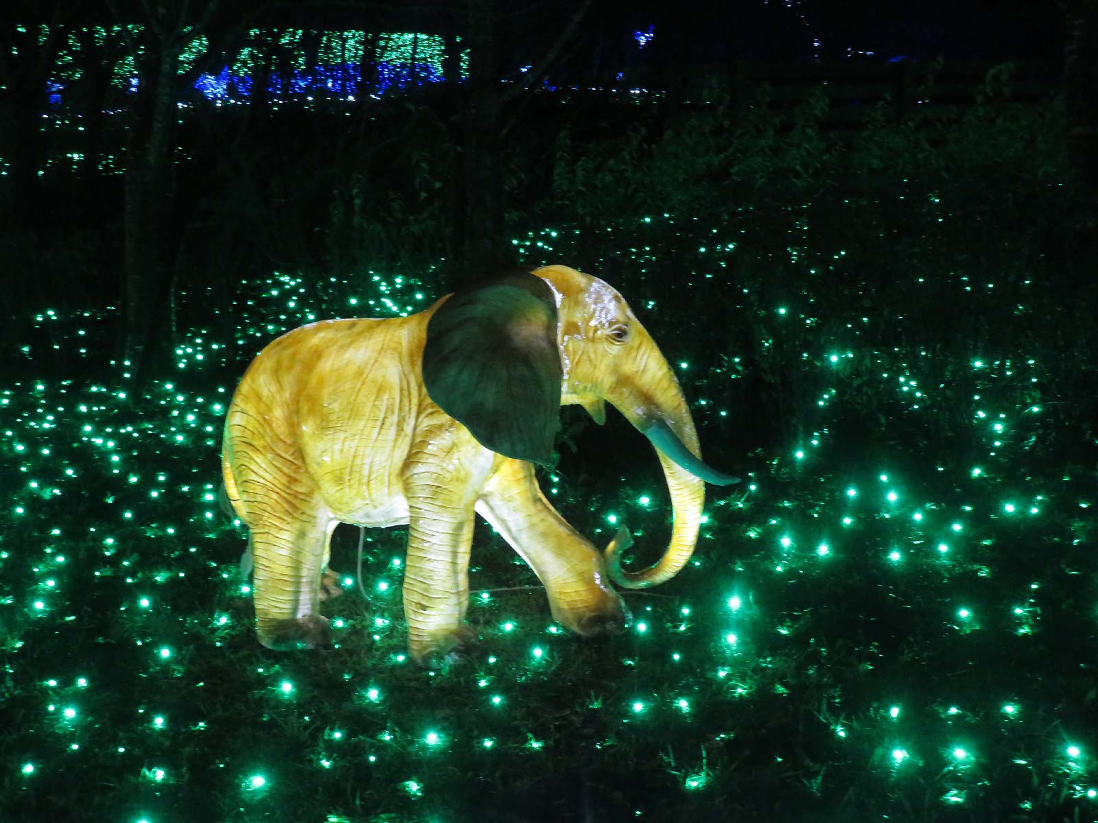 相模湖イルミリオンの「光の動物園」