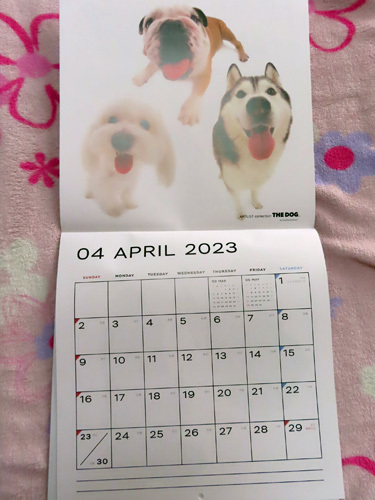 THE DOGの2023年オールスターカレンダー