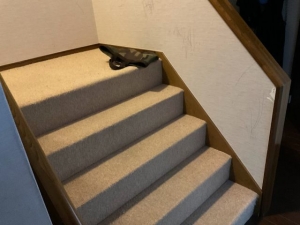 既存の階段カーペット