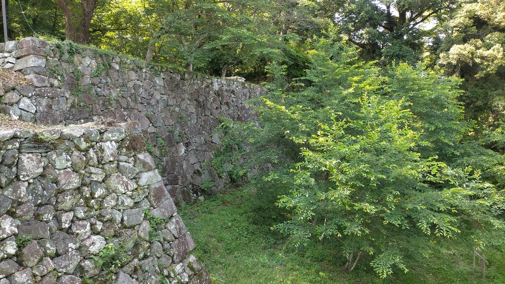 田丸城跡の画像