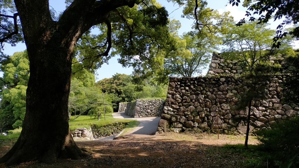 田丸城跡の画像