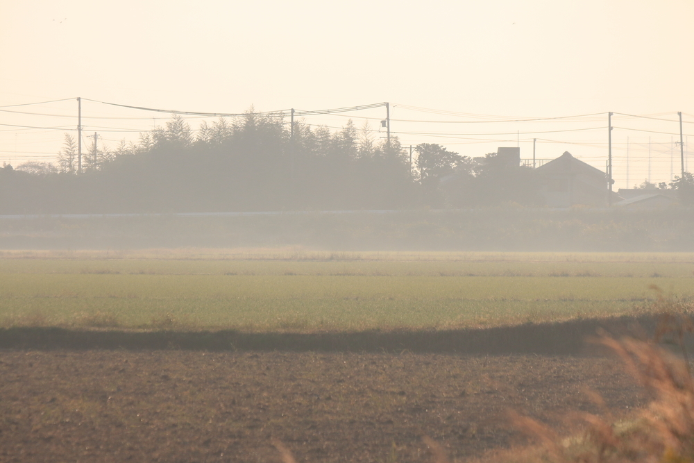 鈴鹿市 朝靄の画像
