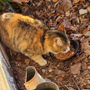 20230119_074720.jpeg