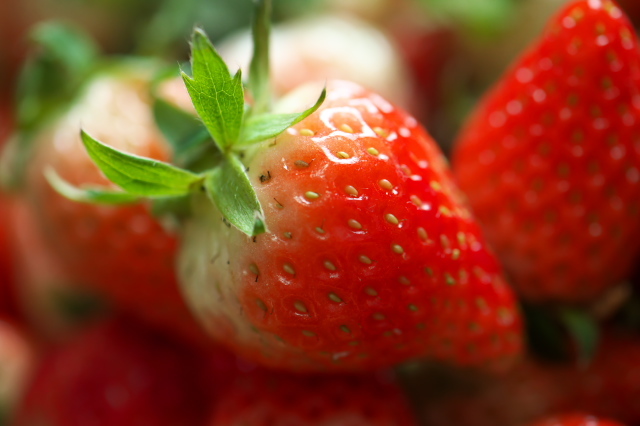 strawberry-11-25-2022-03.jpg
