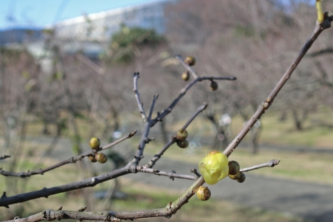 221223exG4111.jpg