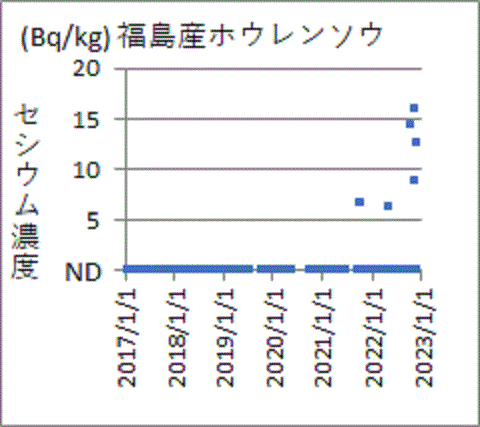 上昇する福島産ホウレンソウのセシウム