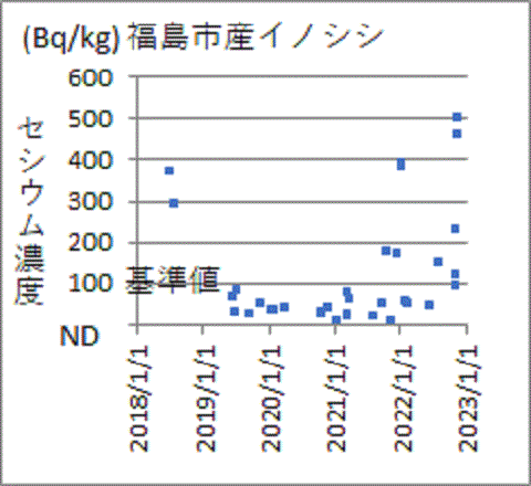 上昇する福島市産イノシシのセシウム