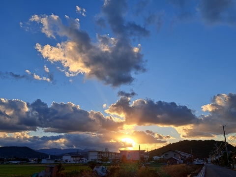 20221025_164709.jpg