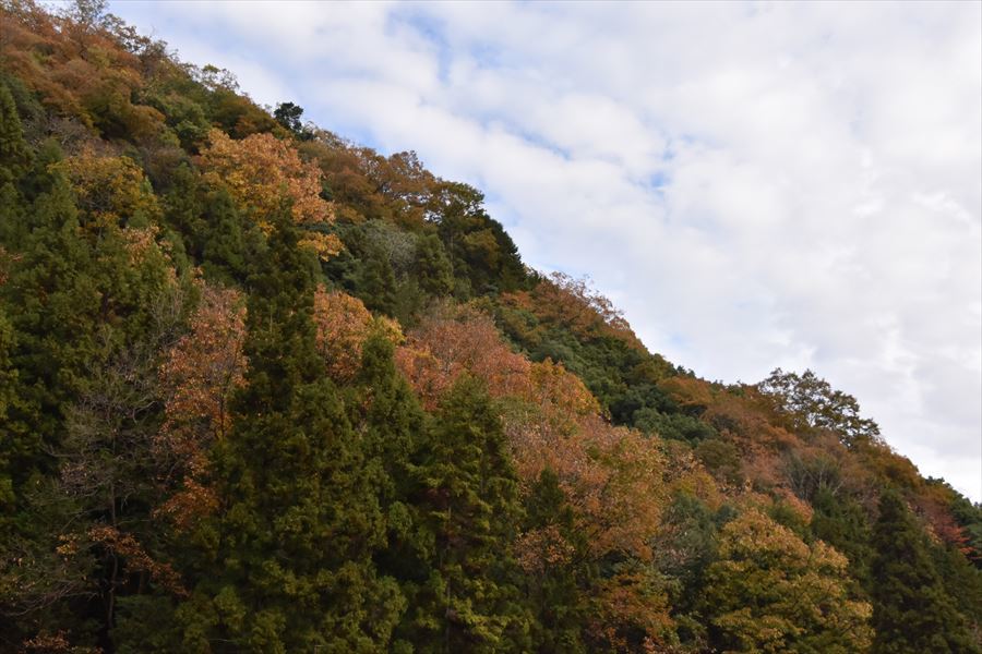 山里の秋4