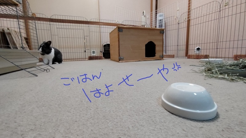 ごはんはよせーや