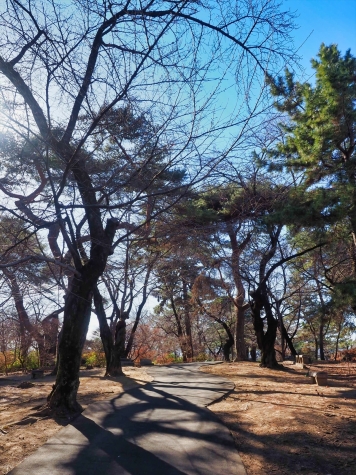 華蔵寺公園