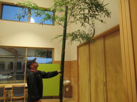 IMG_7113_convert_20230114094507.jpg