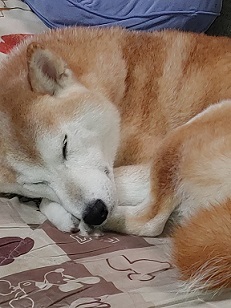 ブログ3