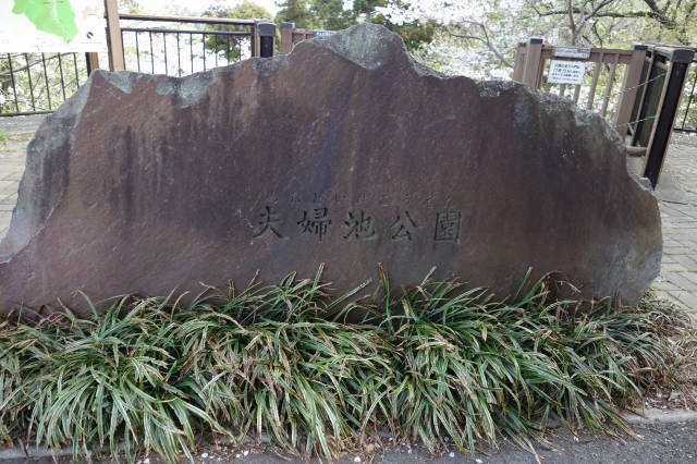 DSC06859.jpg