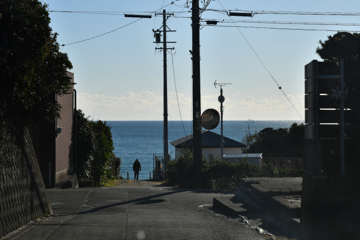 DSC_3133_00001.jpg