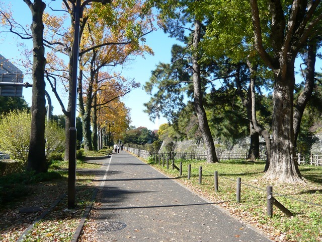 名古屋城お堀沿い散策路