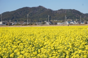 R05010912菜な畑ロード