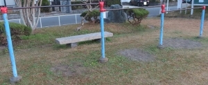 掛川白鷺公園5