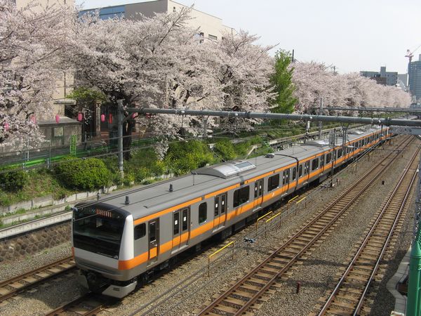 中央線東中野～中野間の桜並木の下を走るE233系電車。
