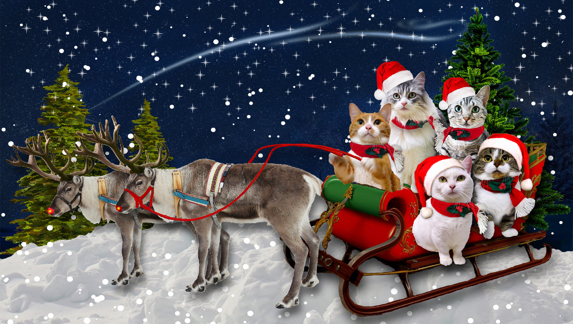 202212christmas-header14a.jpg
