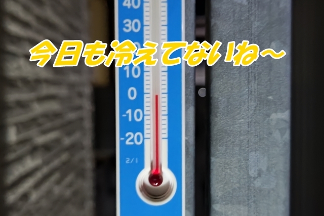 20230114DSC_0384.jpg