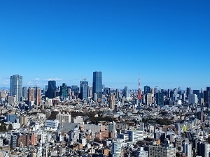 Tokyo-daitokai.jpg