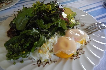 blog CP2 Dinner, Broccolini, Salad, Eggs, Mendocino, CA_DSCN8532-4.16.18 copy