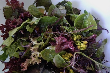 blog CP2 Dinner, Broccolini, Salad, Eggs, Mendocino, CA P_DSCN8531-4.16.18 copy