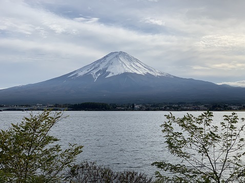 富士1429